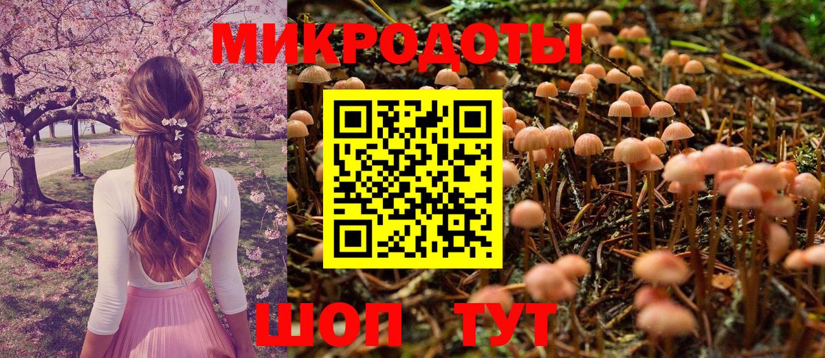 Галлюциногенные грибы прущие грибы  Псилоцибиновые грибы мухоморы  Троицк  Вход с VPN 